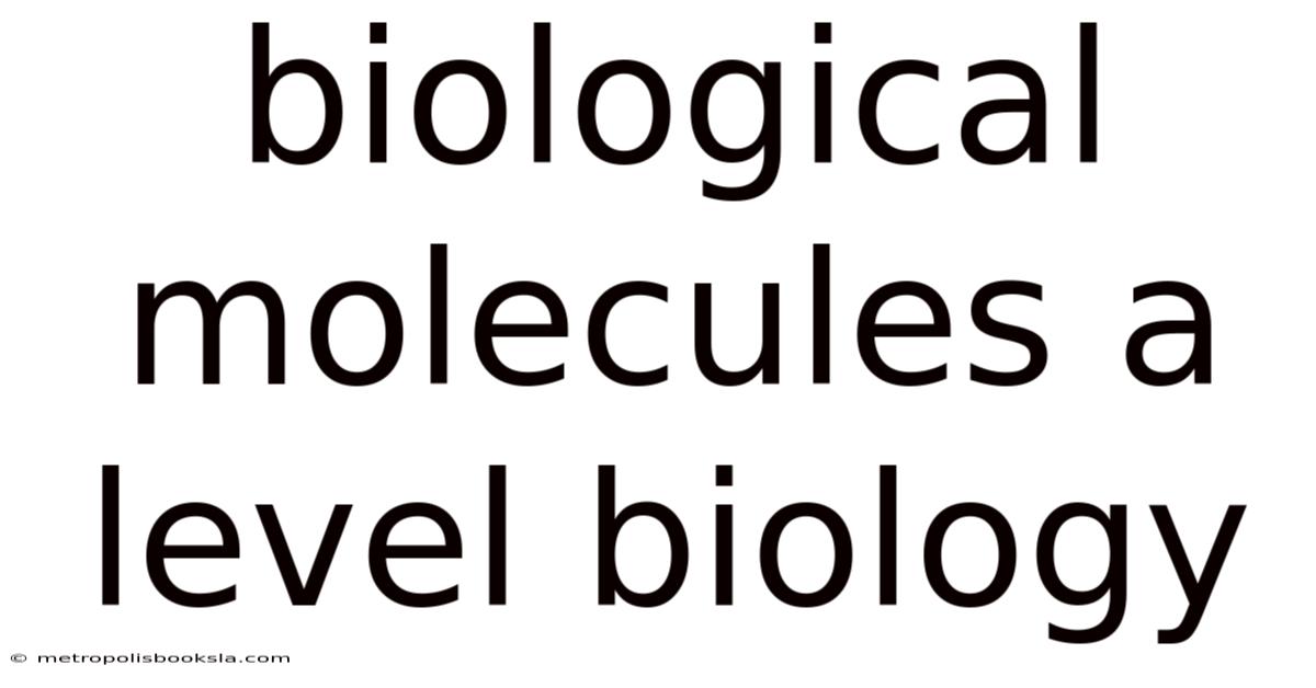 Biological Molecules A Level Biology