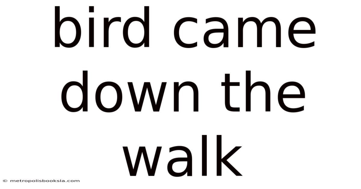 Bird Came Down The Walk