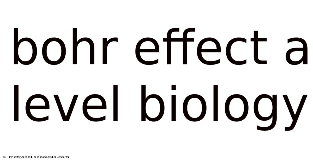 Bohr Effect A Level Biology