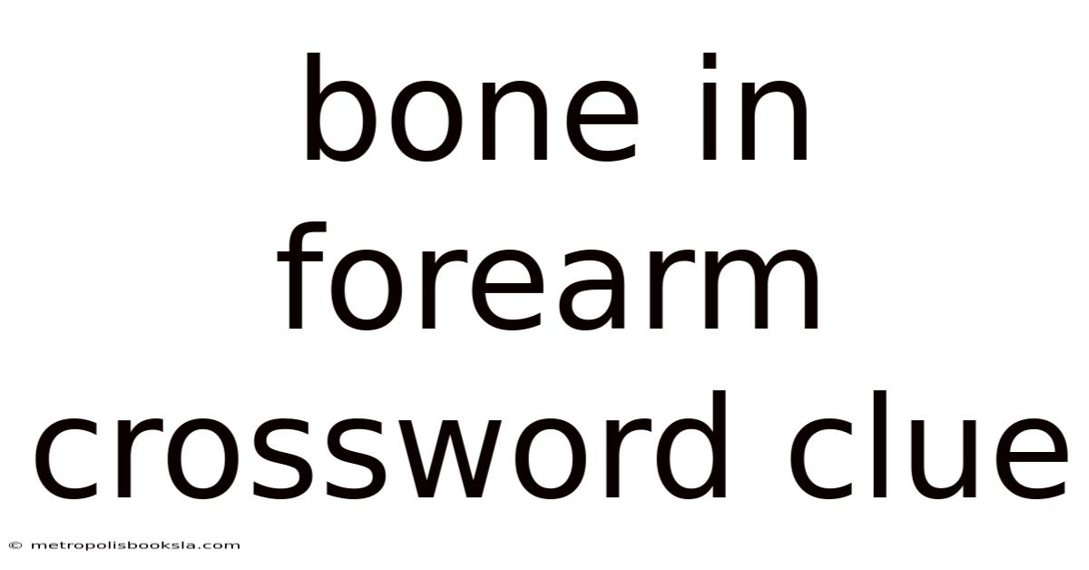 Bone In Forearm Crossword Clue