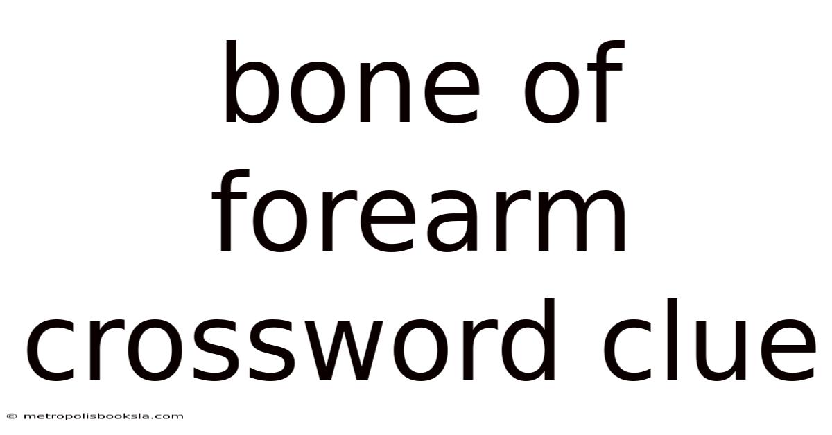 Bone Of Forearm Crossword Clue