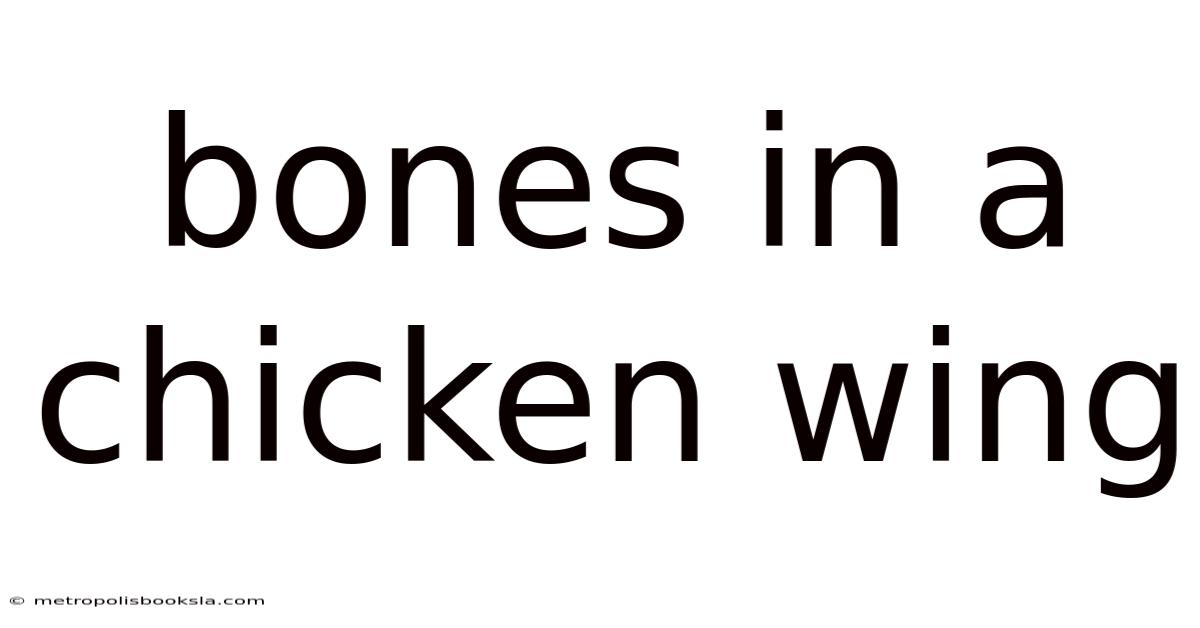 Bones In A Chicken Wing