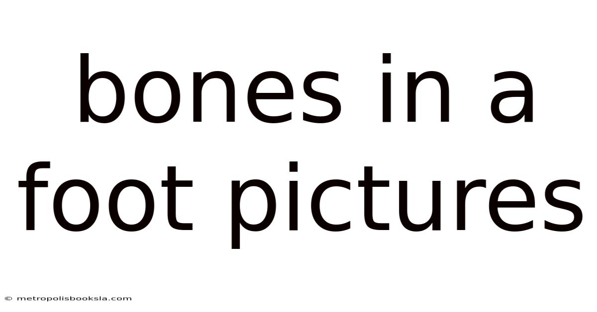 Bones In A Foot Pictures