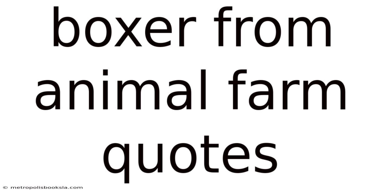 Boxer From Animal Farm Quotes