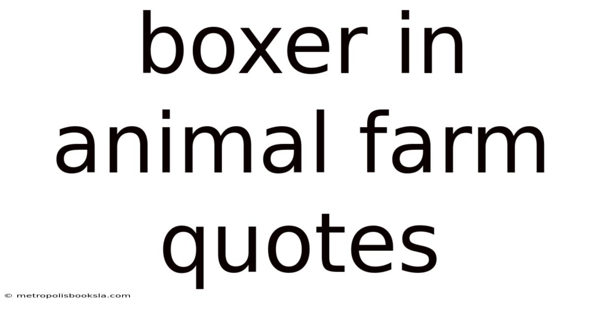 Boxer In Animal Farm Quotes
