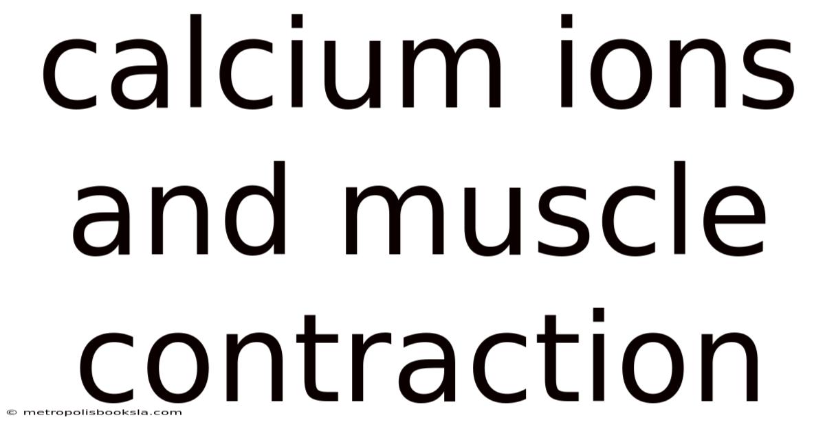 Calcium Ions And Muscle Contraction
