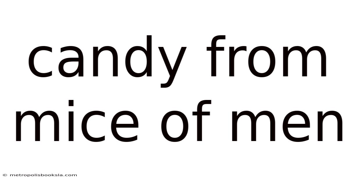 Candy From Mice Of Men