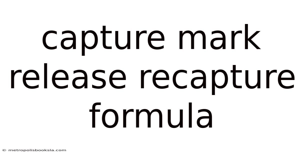 Capture Mark Release Recapture Formula