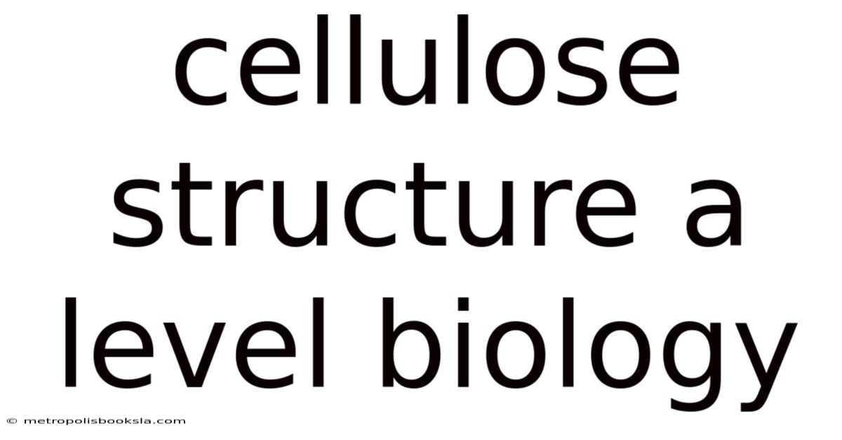 Cellulose Structure A Level Biology