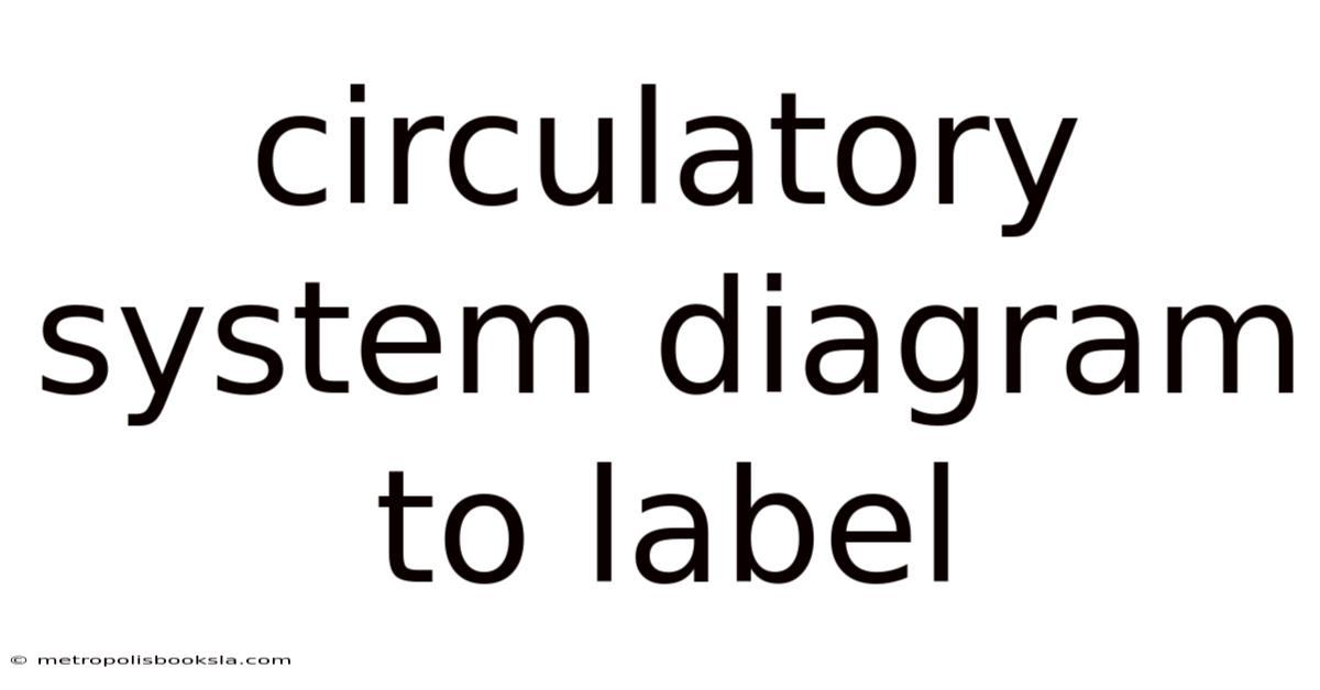 Circulatory System Diagram To Label