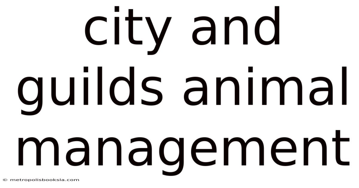 City And Guilds Animal Management
