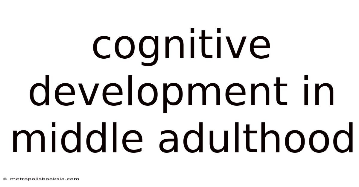 Cognitive Development In Middle Adulthood