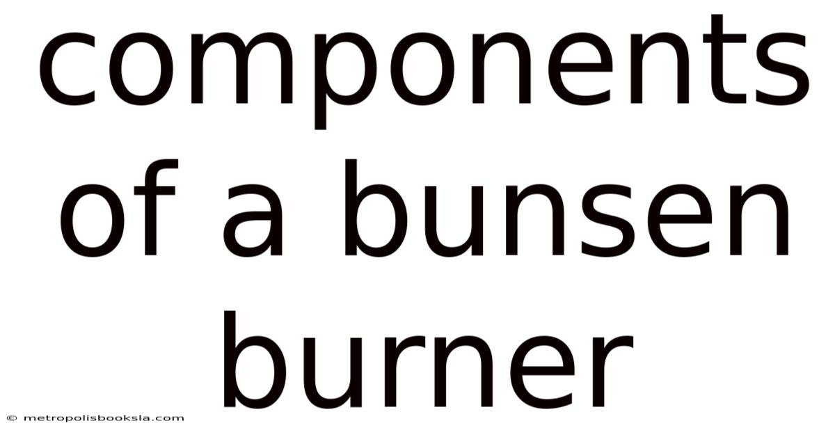Components Of A Bunsen Burner