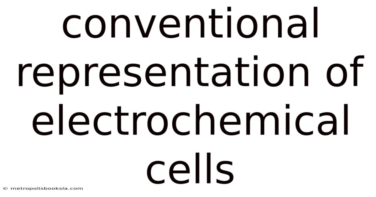 Conventional Representation Of Electrochemical Cells