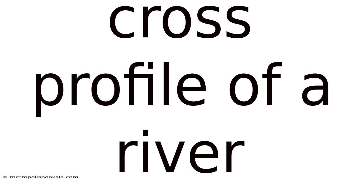 Cross Profile Of A River