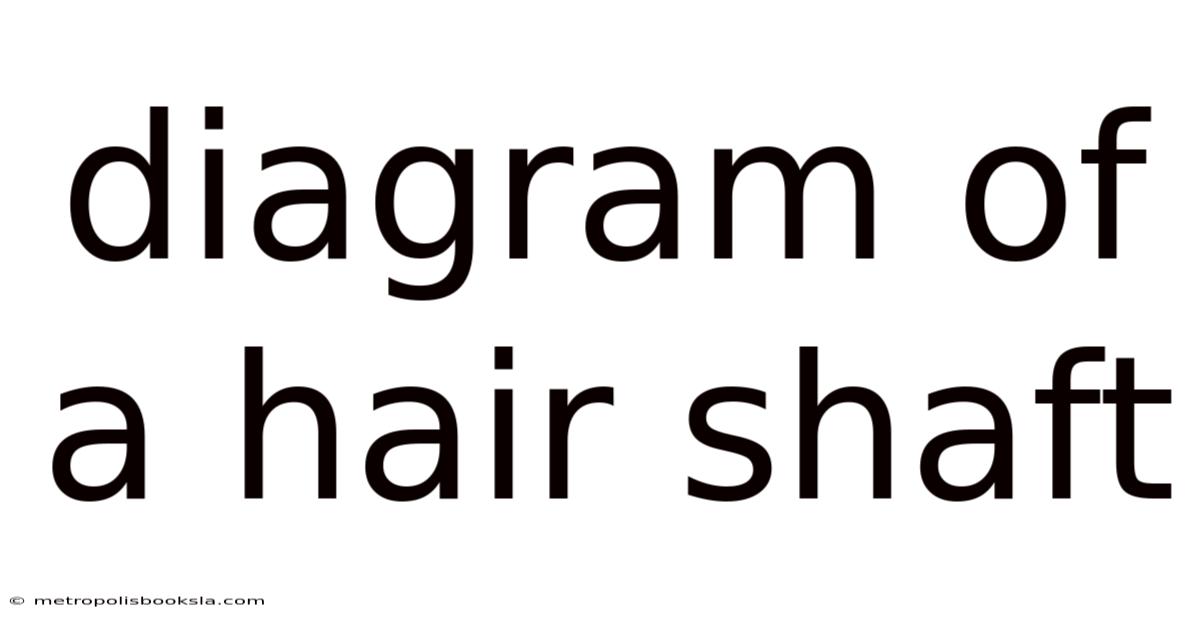 Diagram Of A Hair Shaft