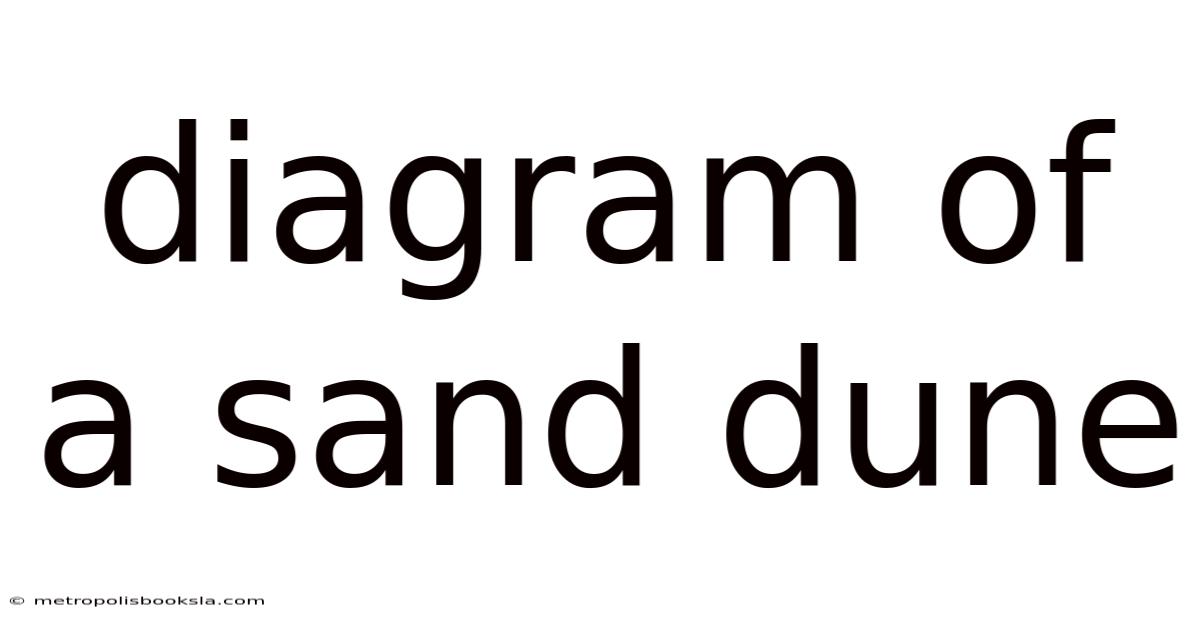Diagram Of A Sand Dune