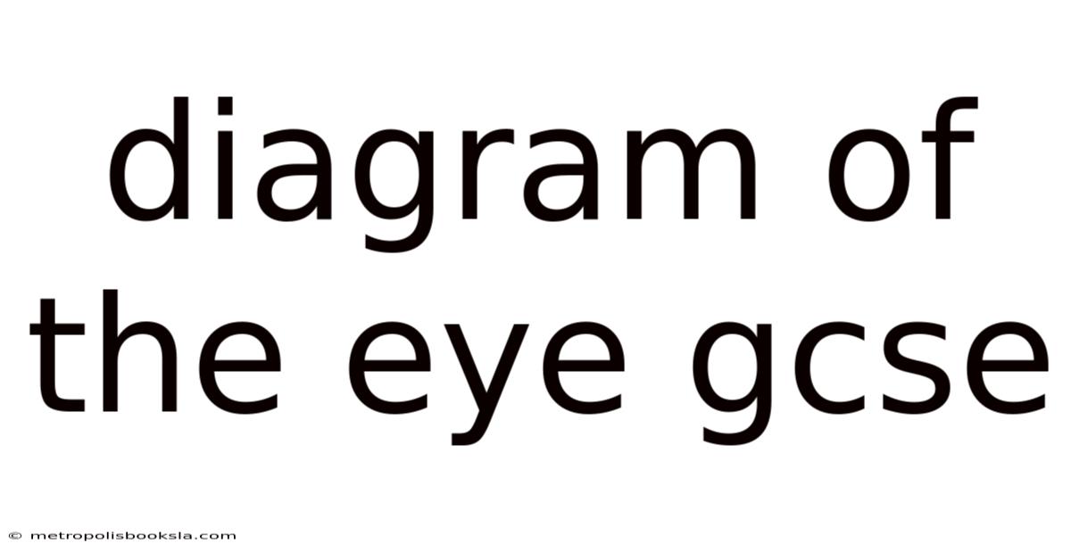 Diagram Of The Eye Gcse
