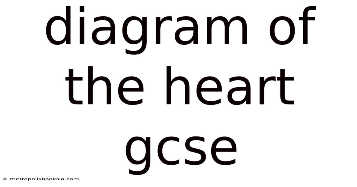 Diagram Of The Heart Gcse