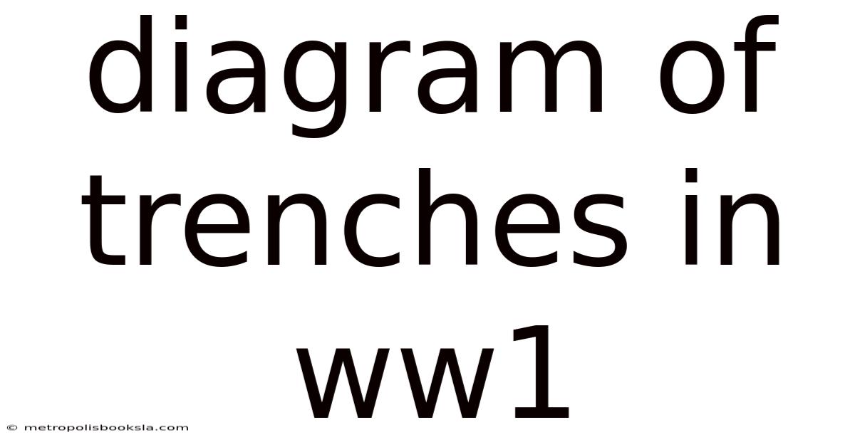 Diagram Of Trenches In Ww1