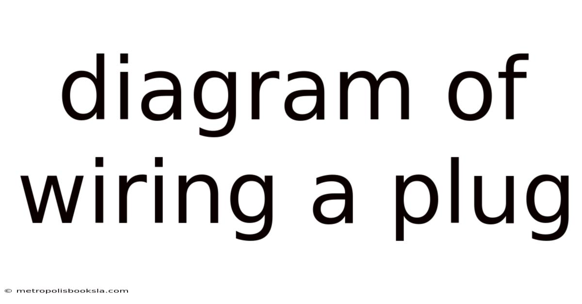 Diagram Of Wiring A Plug