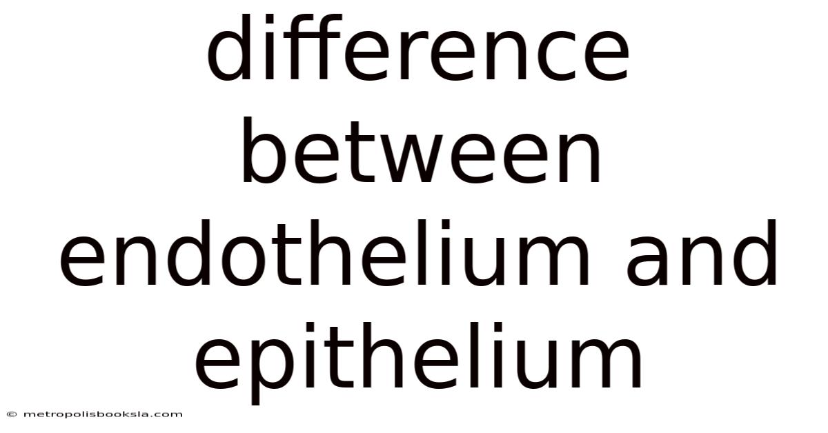 Difference Between Endothelium And Epithelium