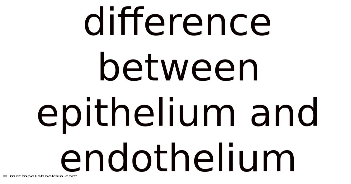 Difference Between Epithelium And Endothelium