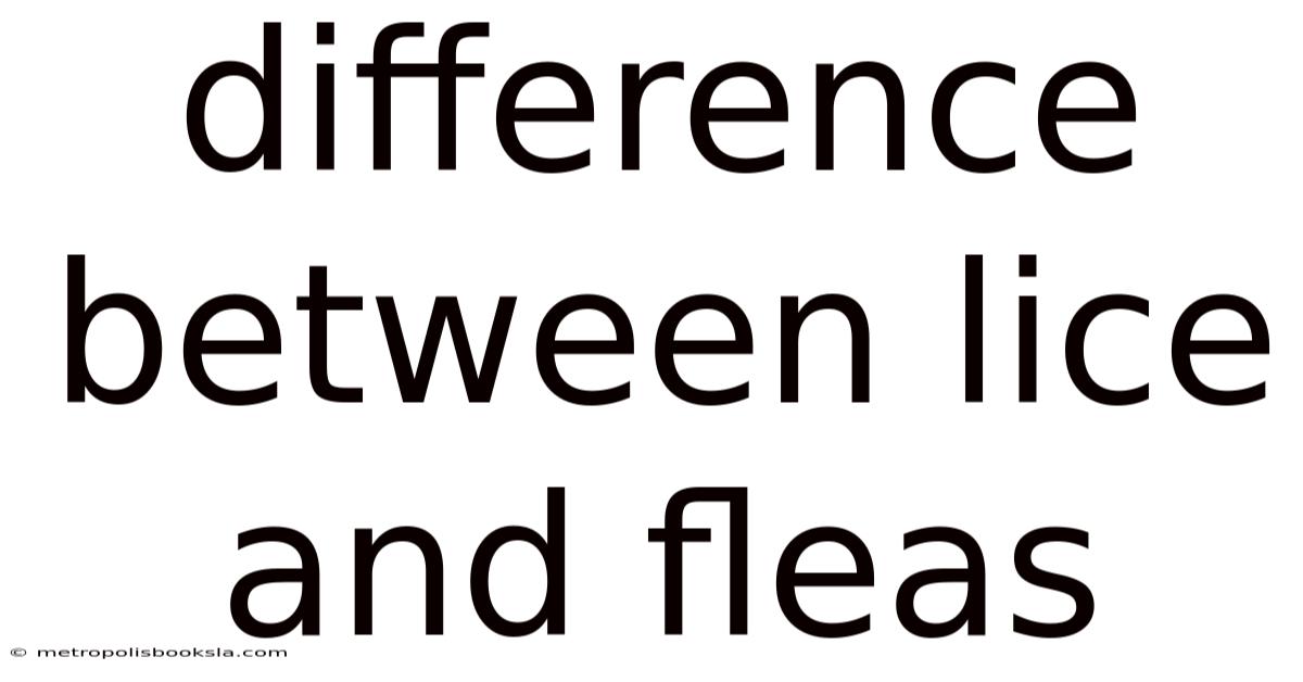 Difference Between Lice And Fleas