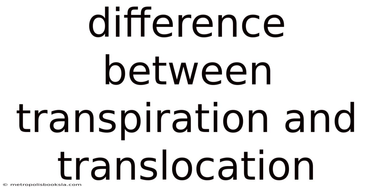 Difference Between Transpiration And Translocation