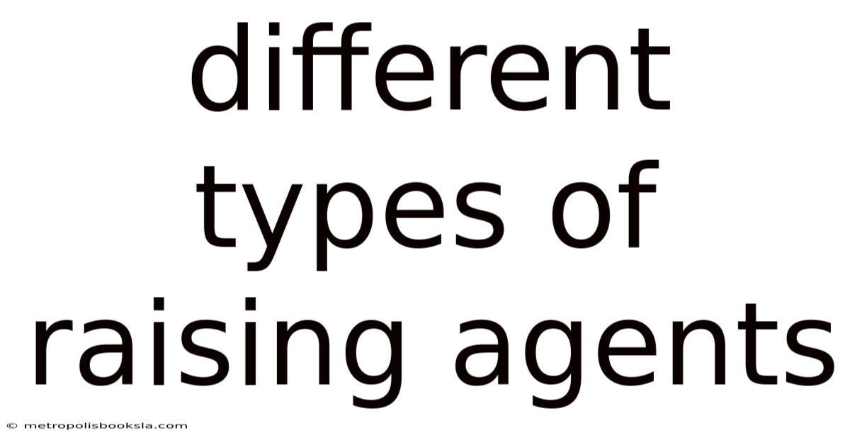 Different Types Of Raising Agents
