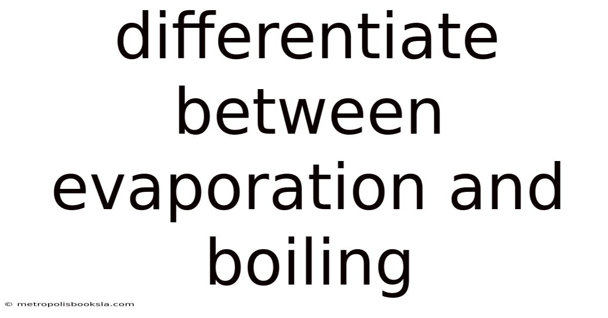 Differentiate Between Evaporation And Boiling