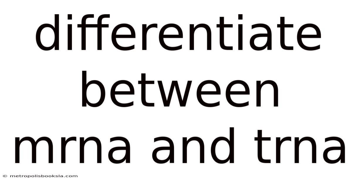 Differentiate Between Mrna And Trna
