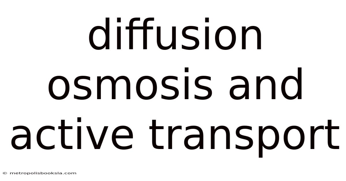Diffusion Osmosis And Active Transport
