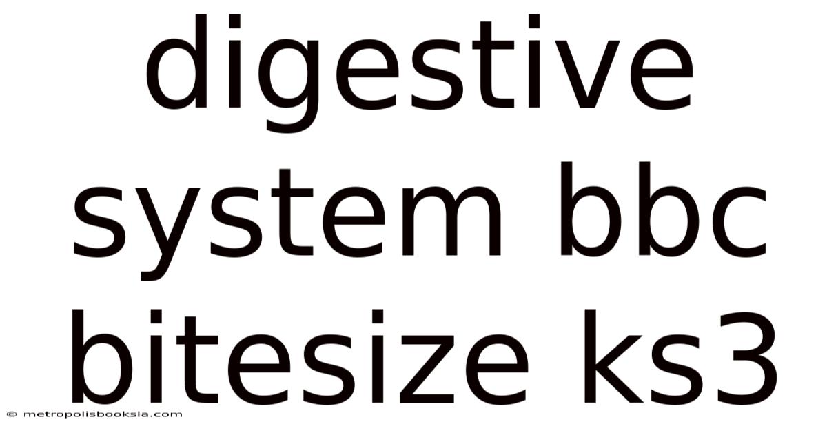 Digestive System Bbc Bitesize Ks3