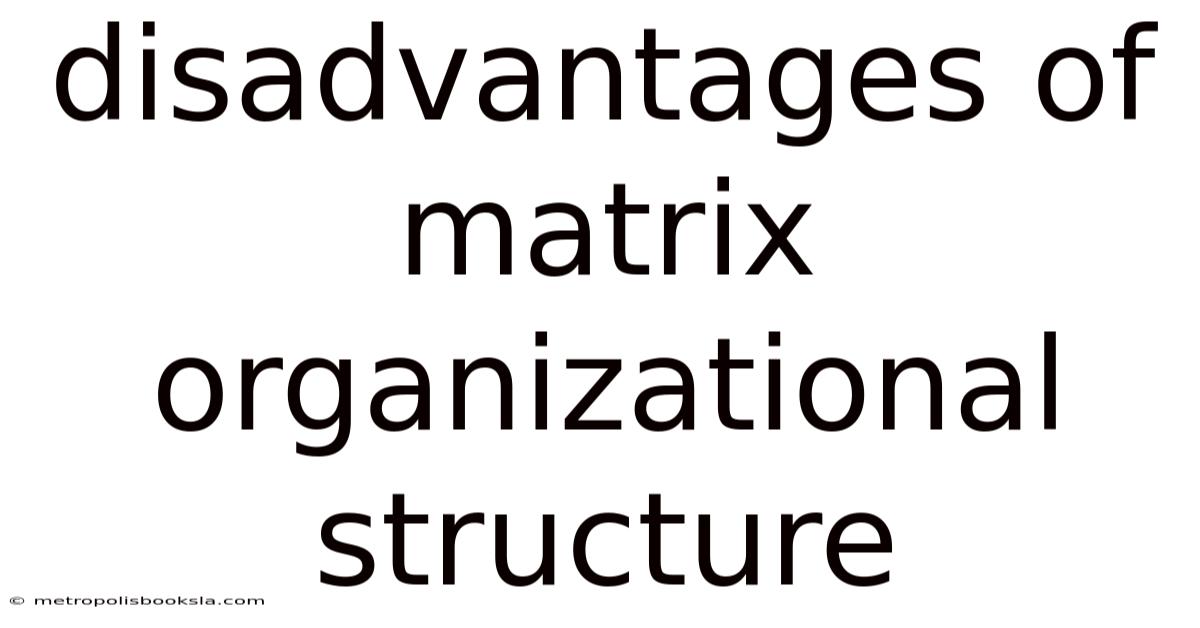 Disadvantages Of Matrix Organizational Structure