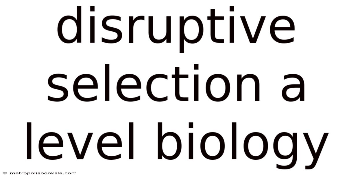 Disruptive Selection A Level Biology