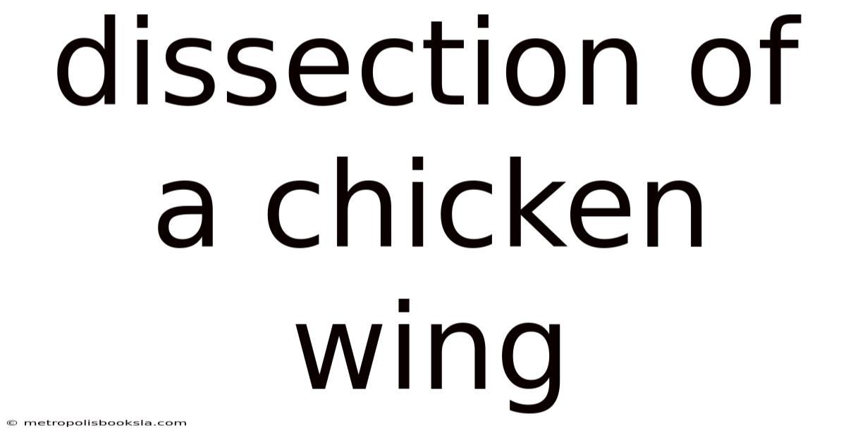 Dissection Of A Chicken Wing