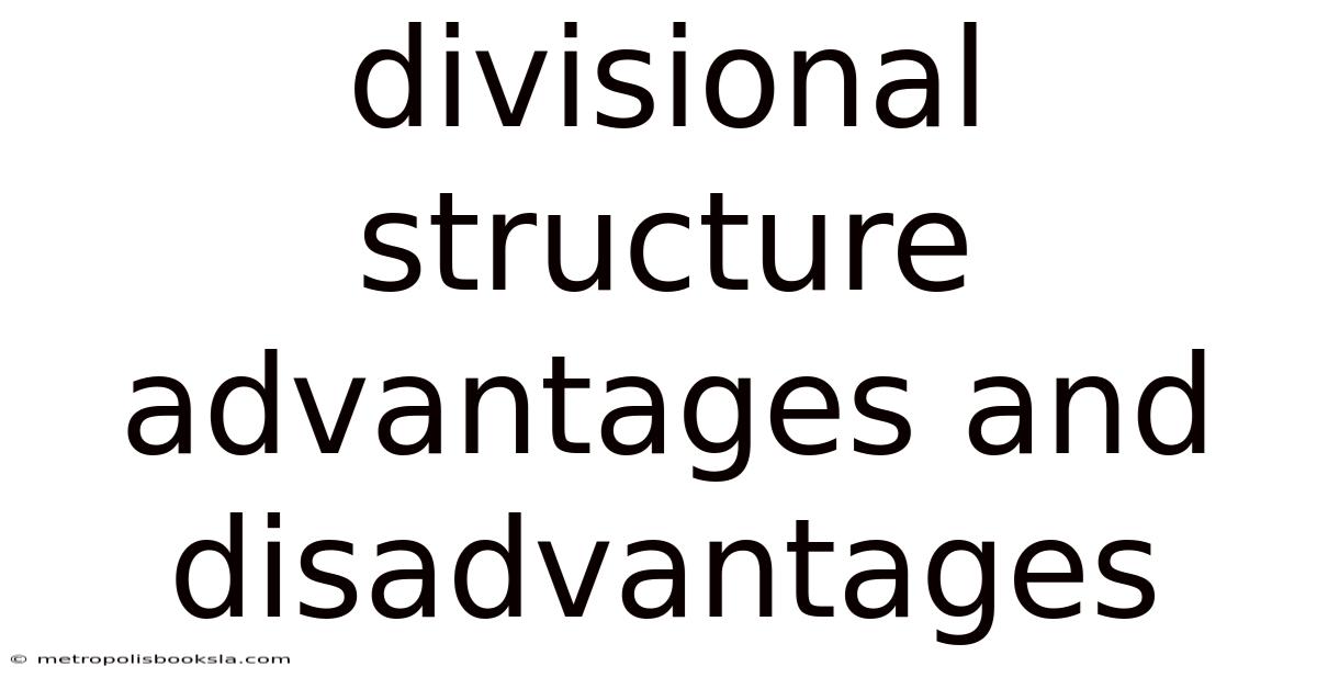 Divisional Structure Advantages And Disadvantages