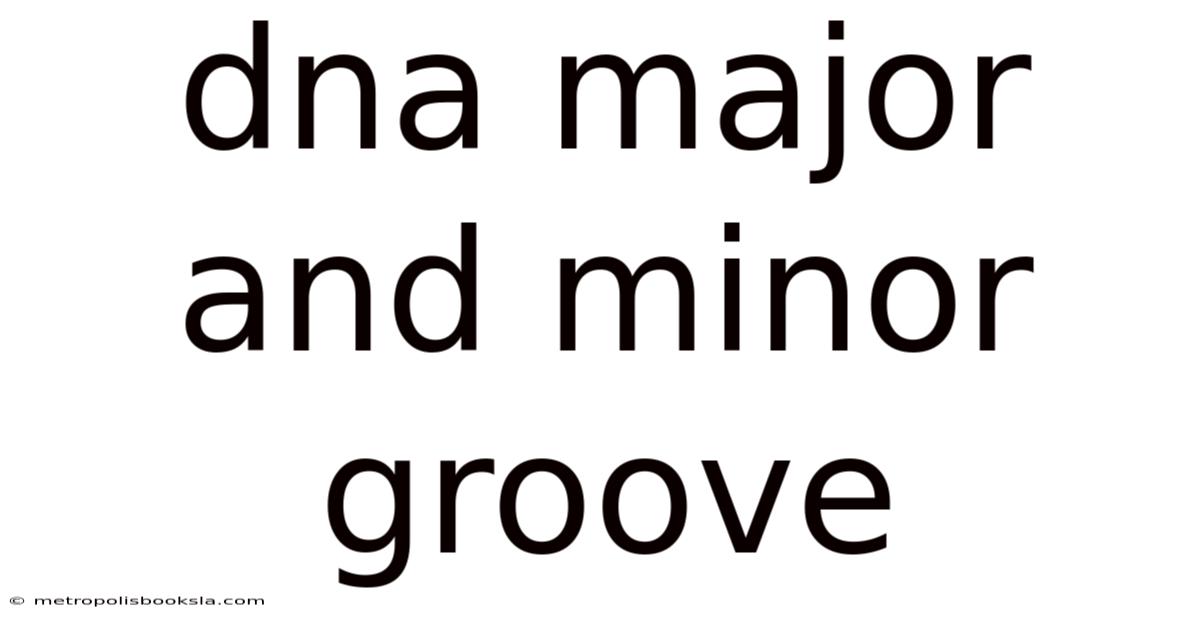 Dna Major And Minor Groove