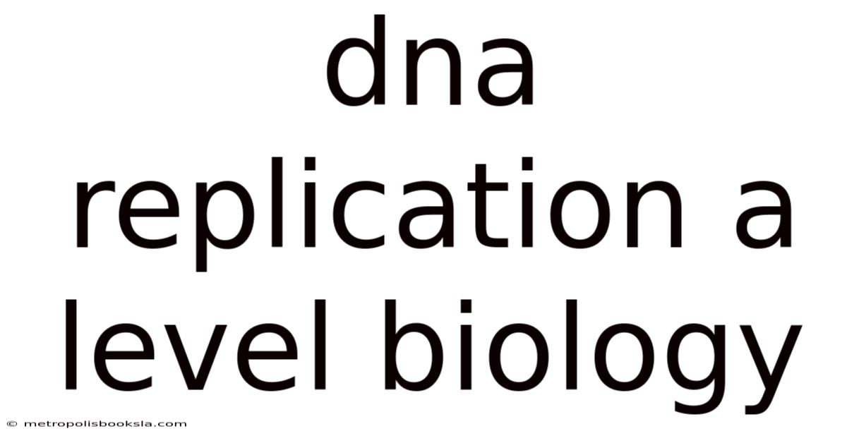 Dna Replication A Level Biology