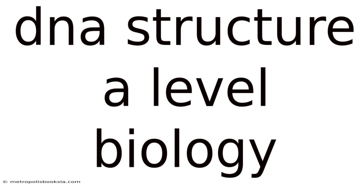 Dna Structure A Level Biology