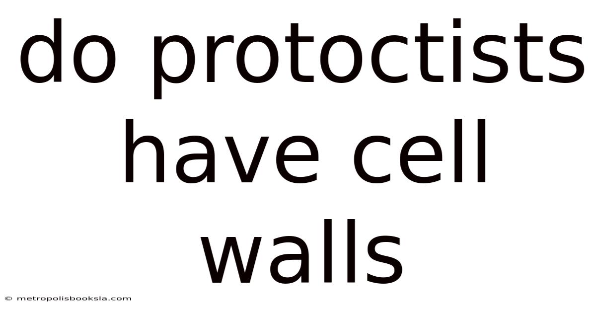Do Protoctists Have Cell Walls