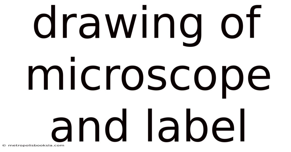 Drawing Of Microscope And Label