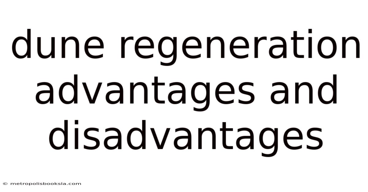 Dune Regeneration Advantages And Disadvantages