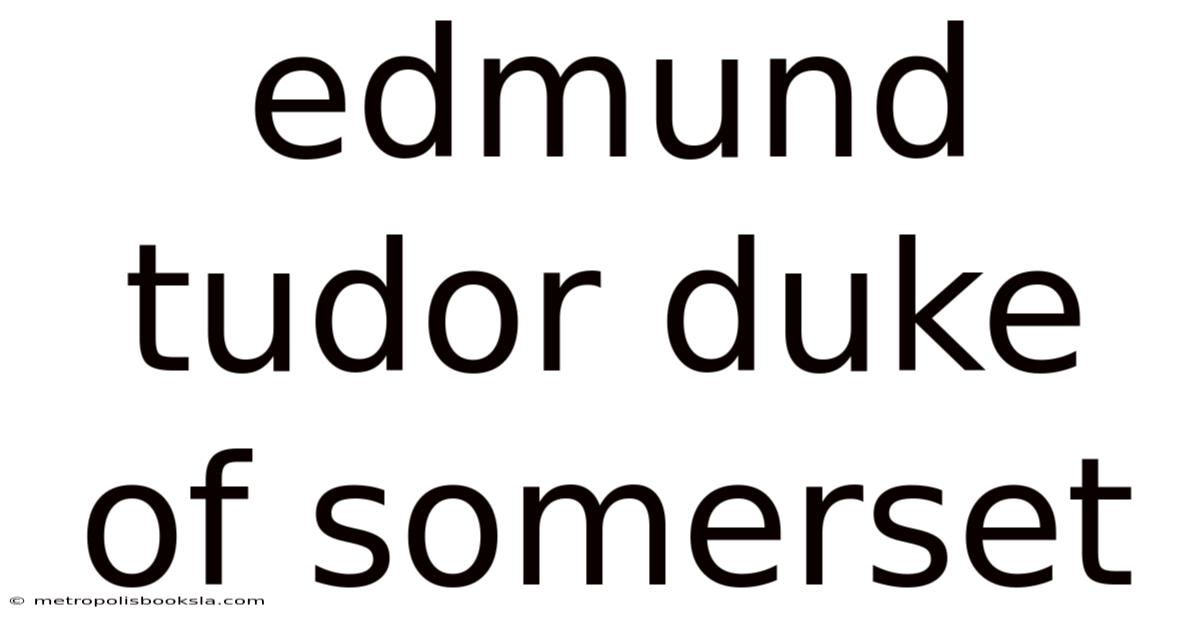 Edmund Tudor Duke Of Somerset