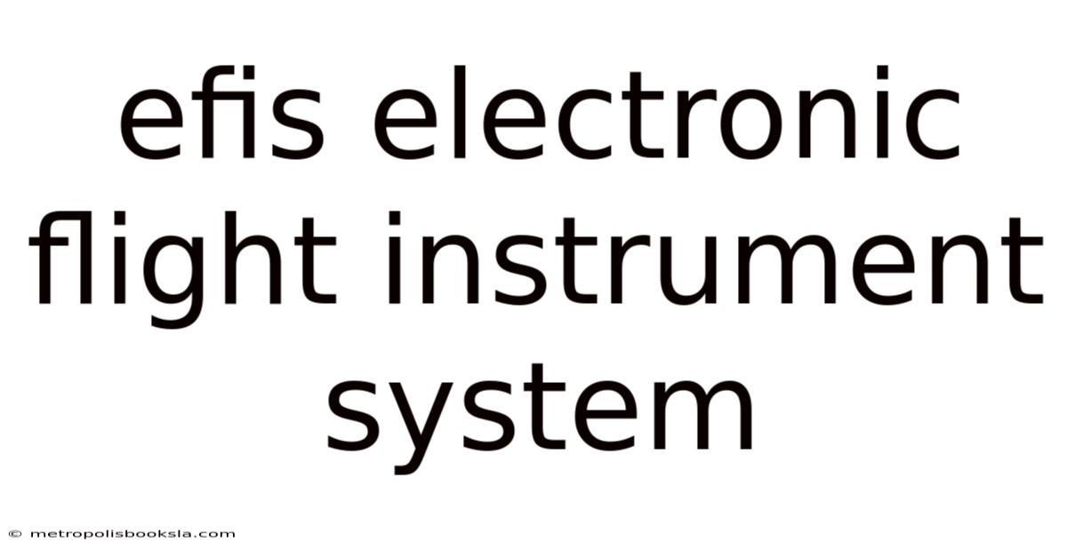 Efis Electronic Flight Instrument System