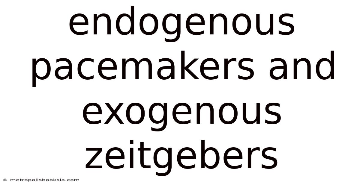 Endogenous Pacemakers And Exogenous Zeitgebers