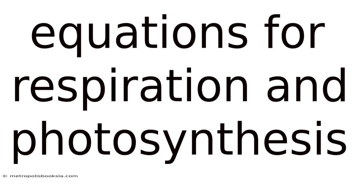 Equations For Respiration And Photosynthesis