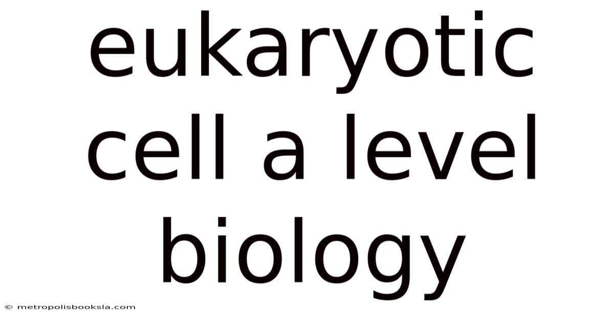 Eukaryotic Cell A Level Biology