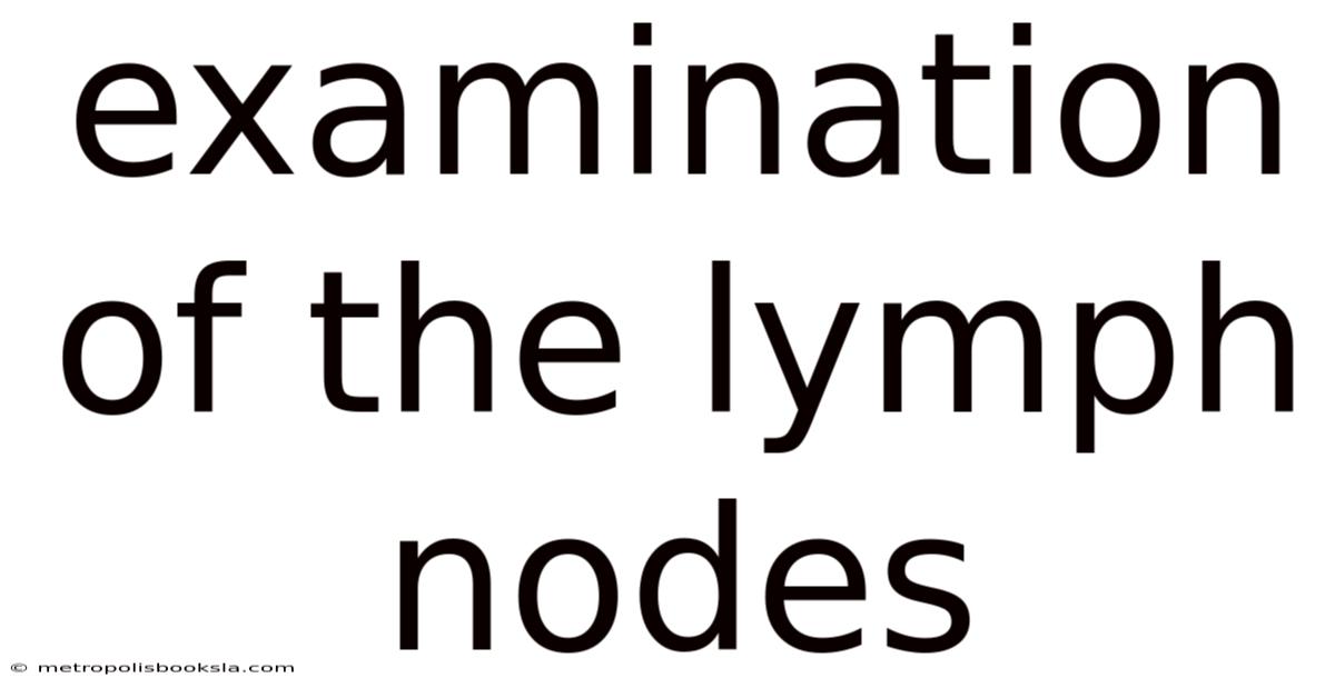 Examination Of The Lymph Nodes